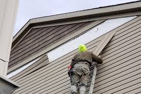 Affordable Siding Repair and Maintenance Services in Lake Park, IA